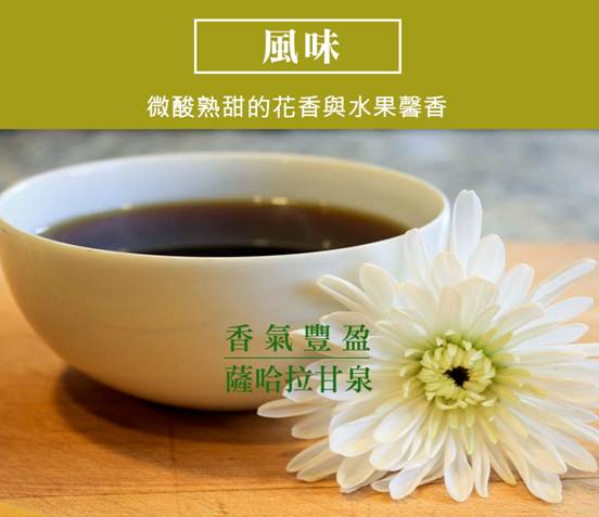 香氣豐盈-撒哈拉甘泉